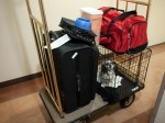 Luggage plus Kiwi